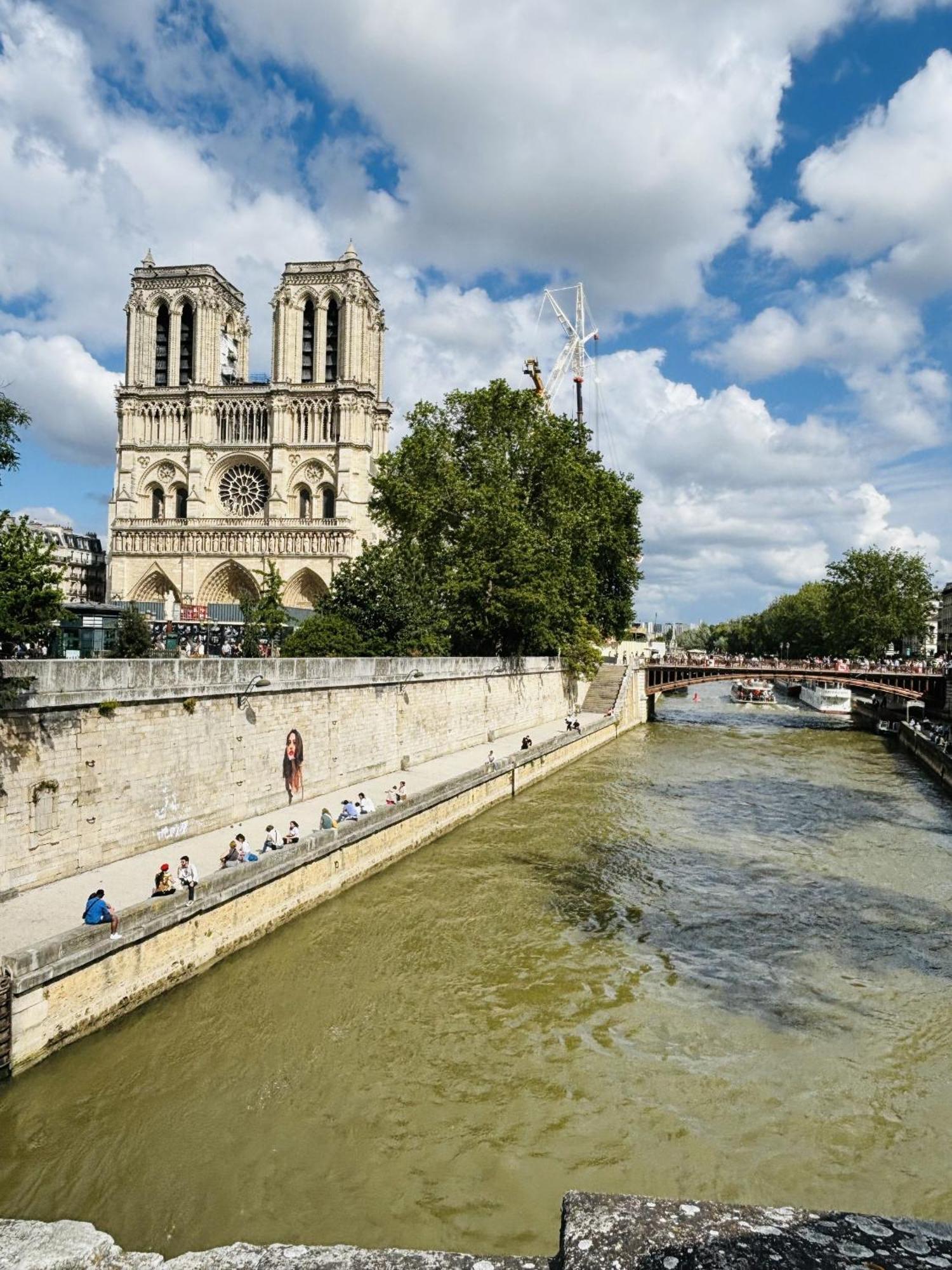 Superb Flat Seine-notre Dame Appartement